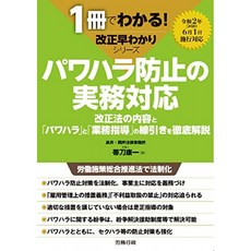 파와하라 방지 실무 대응 (1 권으로 안다! 개정 조 알아 시리즈), 단일옵션