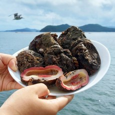 통영 자연산 특품 돌멍게 1kg 산지직송 당일조업 멍게의왕 바다향기 제철해산물, 1kg (6-10미), 1개