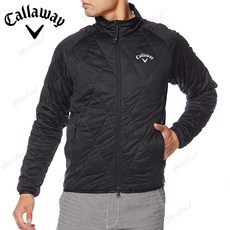 ca60ae3fff43a49afec8a108ea76cf5ec976631a4b681a2a67f3bd942f6a.jpg
