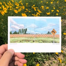 서울어반스케치