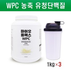 단백질 보충제 WPC 유청단백질 분말 가루 BCAA 류신 아르기닌 타우린 복합 프로틴 파우더 헬스 근육증가 균형단백질 쉐이크 식약청 HACCP 인증, 3개, 1000g