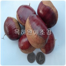 93d21b77bdb760bee31dfe3df142dfb2fa721762e854f4e4ae8ae850d886.jpg