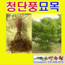 9f7d1a9023a28457aab258cd8ba756aae176f264d76aa578490f03001d54.png