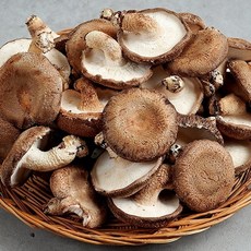 무농약 생표고버섯 파지 2kg, 1개