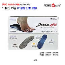 드림핏인솔