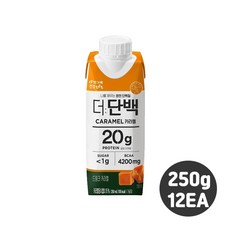 빙그레 더단백 카라멜 프로틴 250ml 12개 더단백 카라멜 드링크