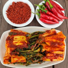 [창녕 할매]직접 농사 지어 만든 총각 김치, 1개, 2kg