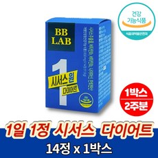 이나영시서스알약