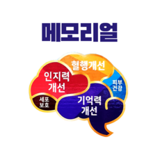 [수험생 노년기]메모리얼 인지력 기억력 포스파티딜세린 2개월분, 1박스, 120정