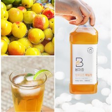 지리산 봄마중 황매실 액기스 1 000ml [원산지 경남 하동]