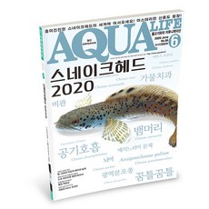 아쿠아라이프 2020년 6월호