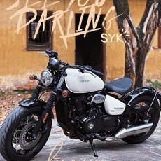 크루즈 오토바이 바이크 고급 출퇴근 500cc 클래식 50마력 커스텀 메뉴얼, F. 크롬스페셜에디션