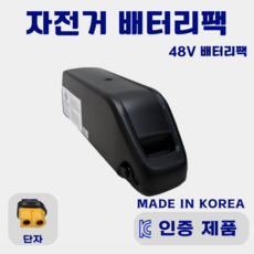 자전거 배터리팩 48V 20Ah (960Wh) KC인증 리튬이온 배터리팩 전기자전거 KTX배터리