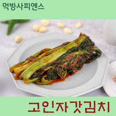 먹방사피엔스 국내산 명품소리 들을만한 갓김치, 1개, 2kg