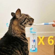 고양이 덴탈 구강 입냄새 구취 제거 잇몸 이빨 치아 치석 양치 칫솔 관리 6개 
