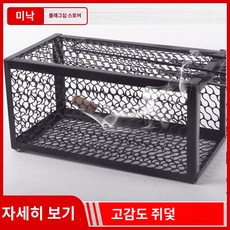 야생동물 통덫 포획틀 너구리 길고양이 포획망 철장 대형 들짐승 덫레귤러 블랙 케이지, 레귤러 블랙 케이지 1개(), 1개