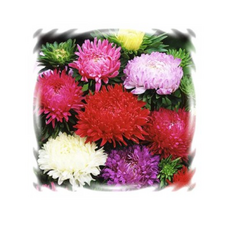 bb1968b8a35356cbbaa1a3d1680301dcceb52e218109fbc52f58091257e3.png