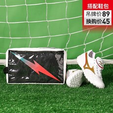 모렐리아웨이브