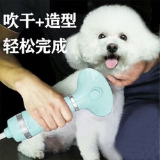 애완견 팻 헤어 브러싱 드라이기, 1개