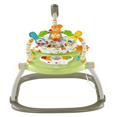 피셔프라이스 우드랜드 프렌즈 SpaceSaver 점퍼루 Fisher-Price Woodland Friends SpaceSaver Jumperoo