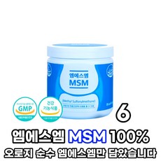 msm한약