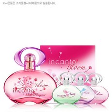 페라가모인칸토