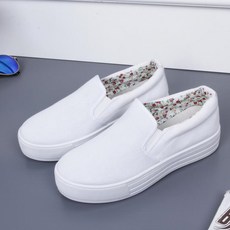 로바z6