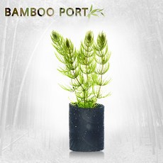 c9f07c1bb9f890867881182bbd9827af58e621cbd8d4d033164b6d793883.jpg