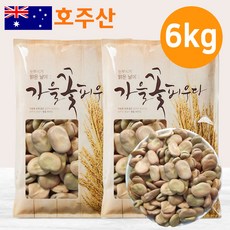  호주 파바빈(대) 3kg 23년산 햇 파바빈콩 원물 파바빈 콩 수입사 직판 TV홈쇼핑 공급사, 2개 