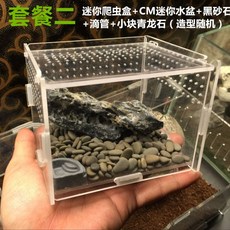 곤충채집박스