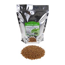 Organic Spelt: 2.5 Lbs - Non-GMO Grain Seeds - Flour Bread Baking Cooking Food Storage Sprouti, 1개, 2.5 Pound Pouch, 2.2kg - 오가닉스포리지