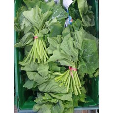 [부드러운] 제철 호박잎 쌈 햇 호박잎나물, 1kg, 1개