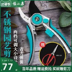 원예가위 꽃 전지가위 플로리스트 꽃꽃이 잔디깍는가위 장고이즈미스테인리스강력수목정지식물원림예화과, 01 2단 개구부 통가위 200mm (가위