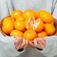 타이벡 감귤 청정 제주도귤 달콤새콤 고당도 당도선별 제철과일 산지직송