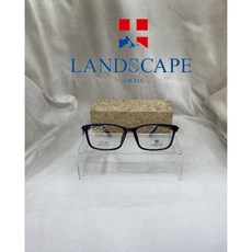 랜드스케이프선글라스