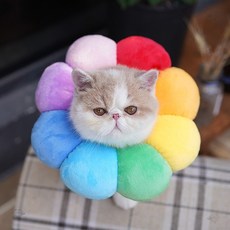 6c4a36a2e4e167c9b226d3dce8133eff9937bcf1e831309ce9698a9d5bfd.jpg
