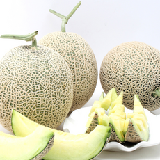 [K쇼핑]전남 곡성 메론 4kg (2수)