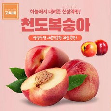 조치원딱딱이복숭아