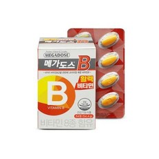 고려은단메가도스b