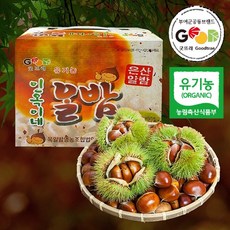 [전대표] 유기농 굿뜨래 알밤 햇밤 대사이즈 2kg 2023년 부여밤 Organic chestnuts, 1박스, 대2kg