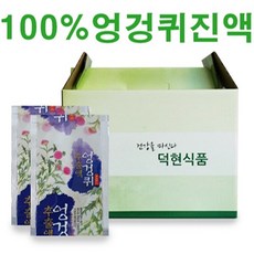 덕현식품 국내산100% 엉겅퀴즙 엉겅퀴진액 110ml x 50팩, 50개