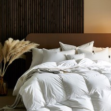 헬렌스타인웜폴스카