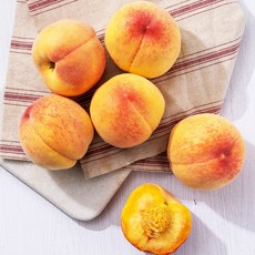 음성햇사레복숭아(음성)