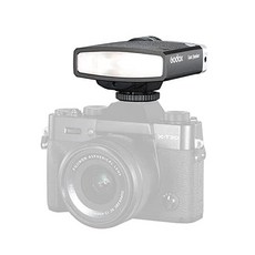 고독스룩스주니어