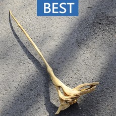 유목 대형 122cm 국산, 1개