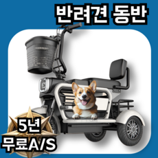 RideMax 애견동반 세발전기자전거 자녀 전동 자토바이 출퇴근 성인 스쿠터, 화이트, 스틸
