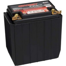 자동차 배터리 밧데리 atv 발전기 휴대용 오디세이 PC625 파워스포츠, Threaded Top / Side Terminals, 1개