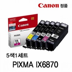 캐논 PIXMA IX6870 정품잉크 5색세트