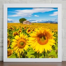 부산해바라기그림원데이클래스