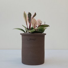 국산토분